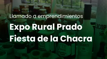 agregar descripción de la imagen