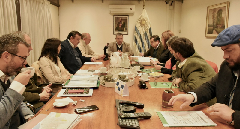 Texto descriptivo de la imagen