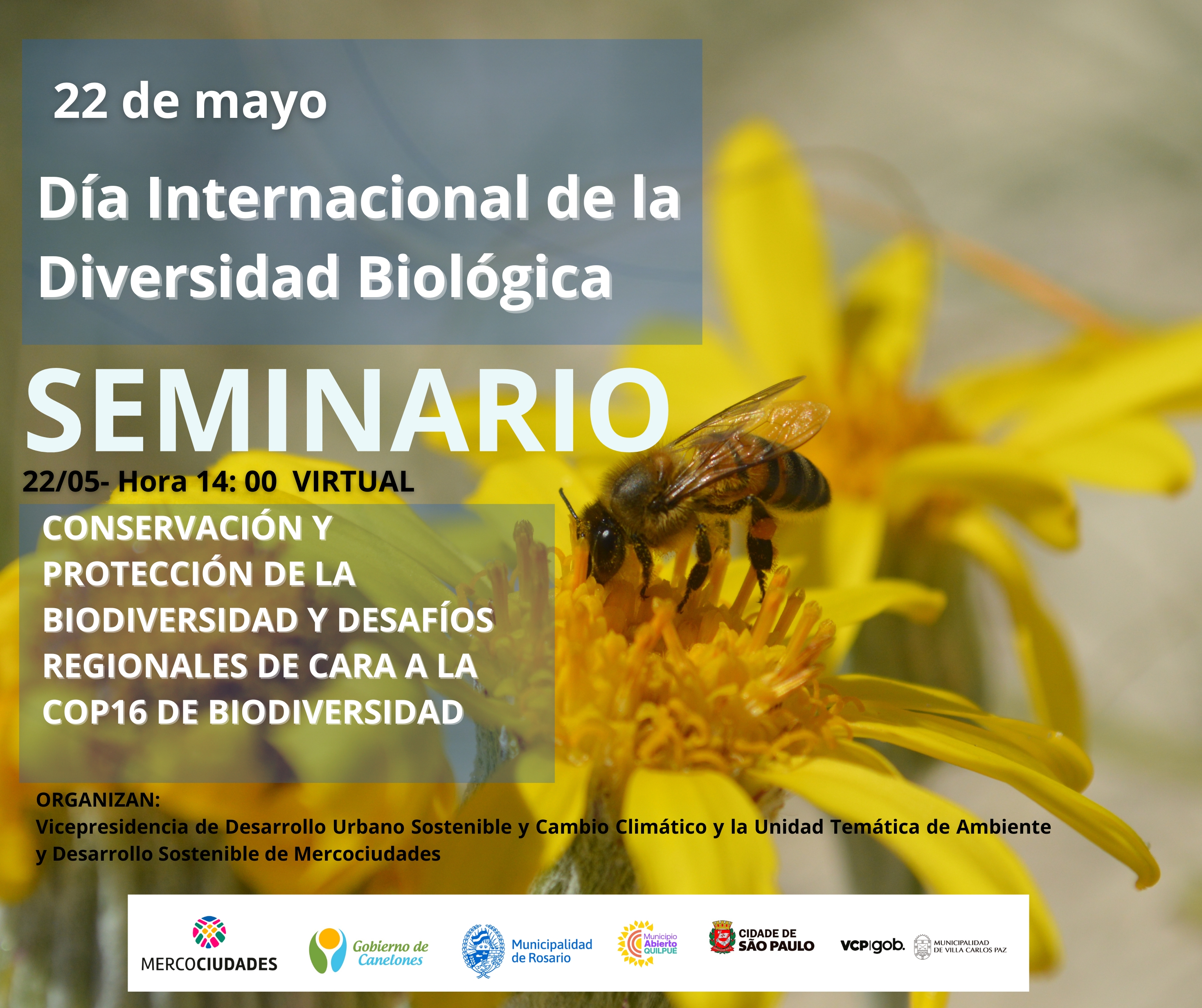 Texto descriptivo de la imagen