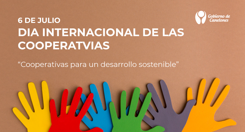 Texto descriptivo de la imagen