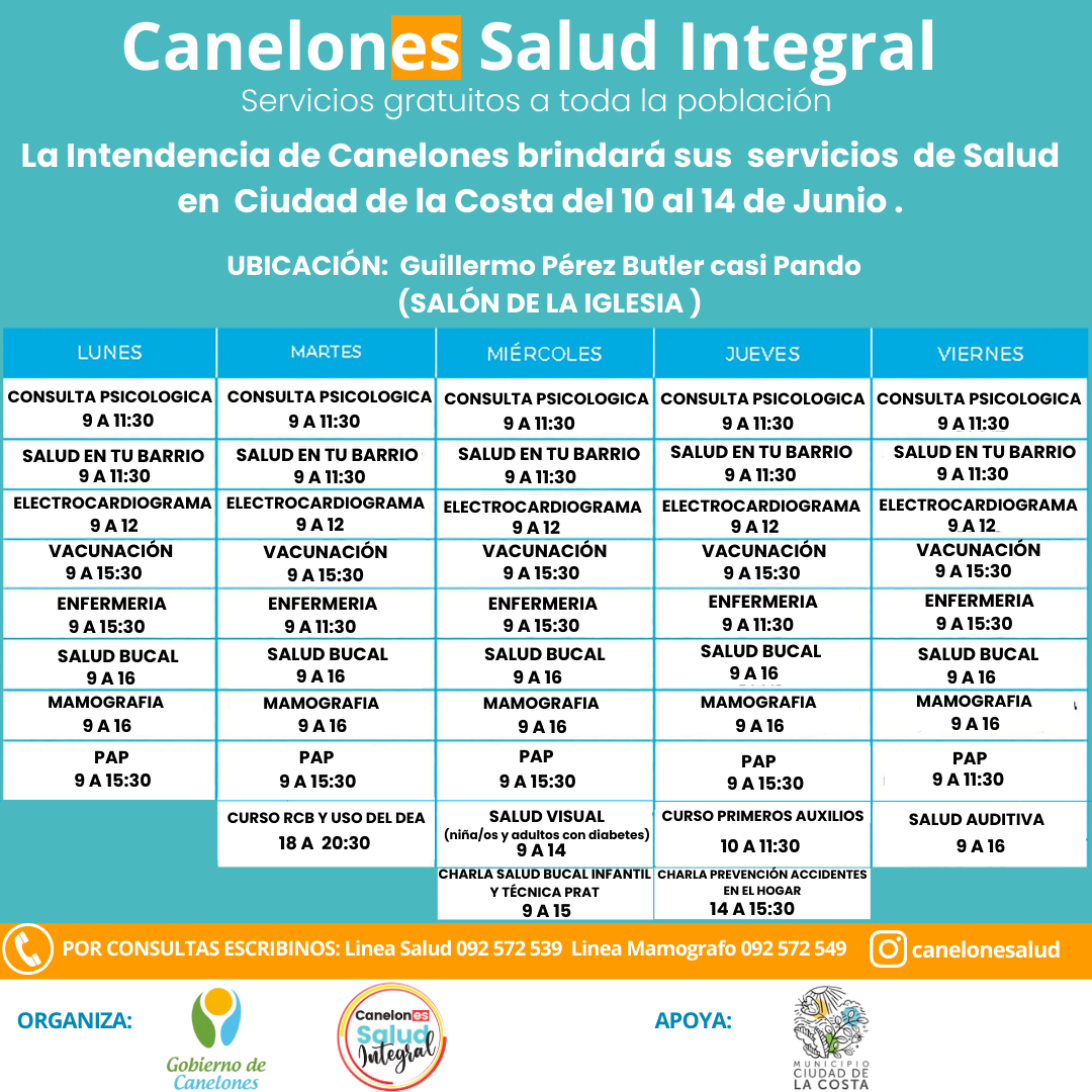 Texto descriptivo de la imagen