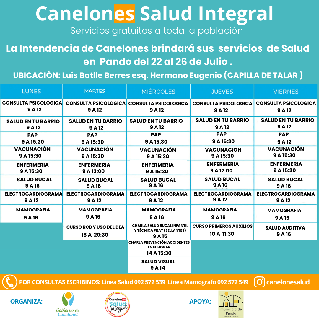 Texto descriptivo de la imagen