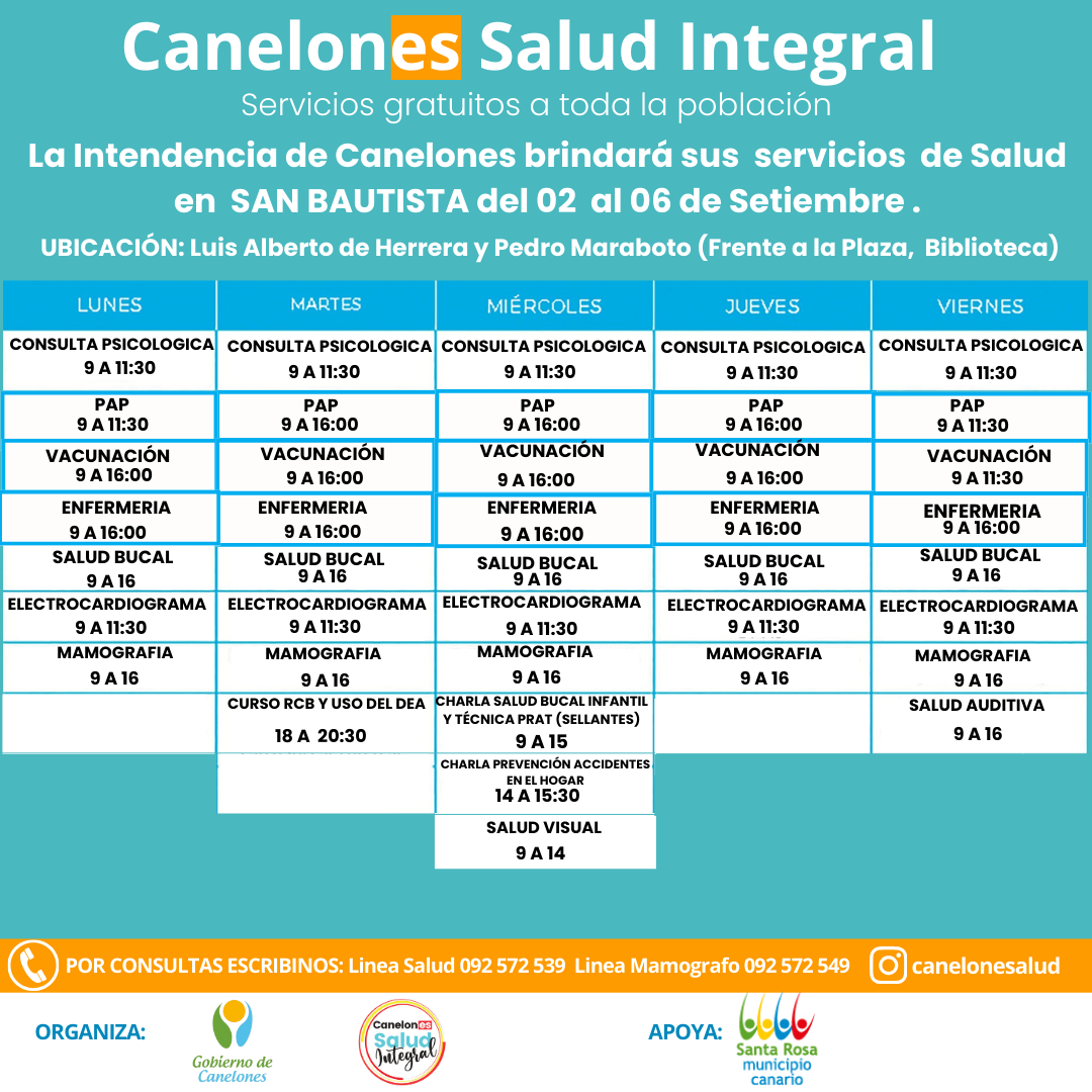 Texto descriptivo de la imagen