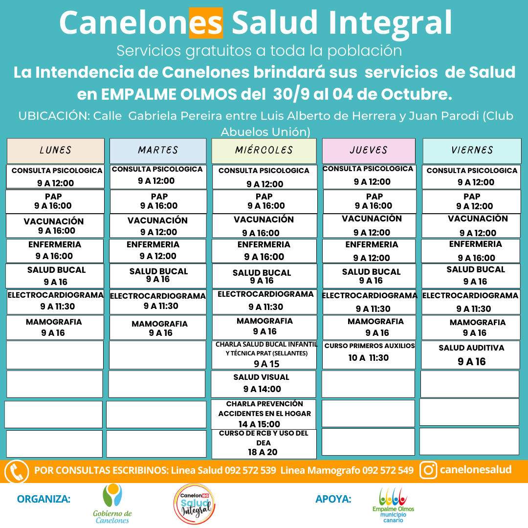 Texto descriptivo de la imagen