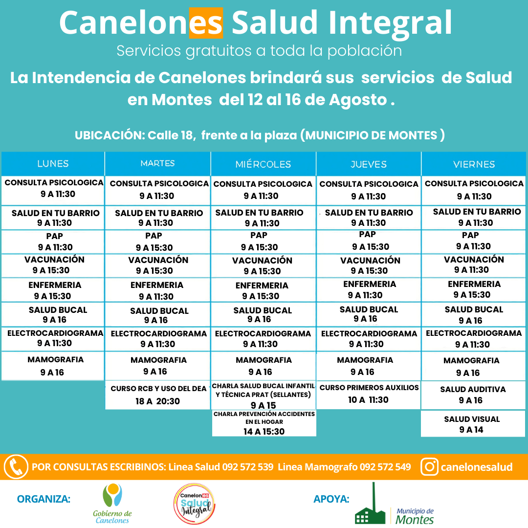 Texto descriptivo de la imagen