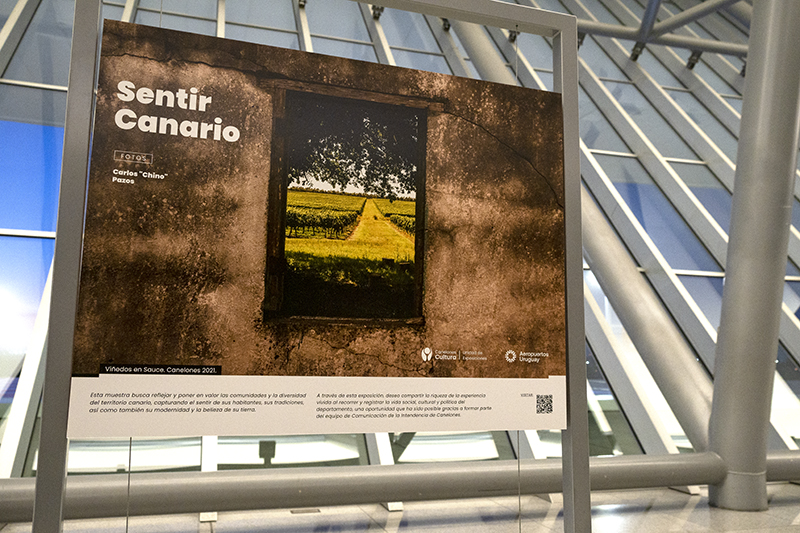 Texto descriptivo de la imagen