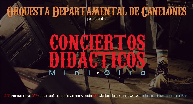 Texto descriptivo de la imagen