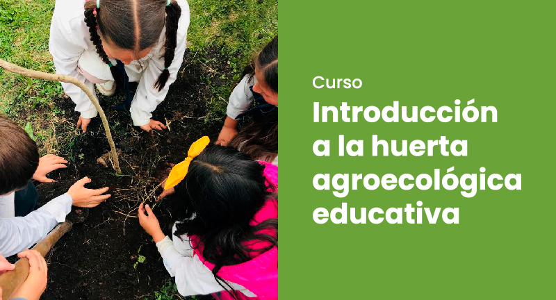 Texto descriptivo de la imagen