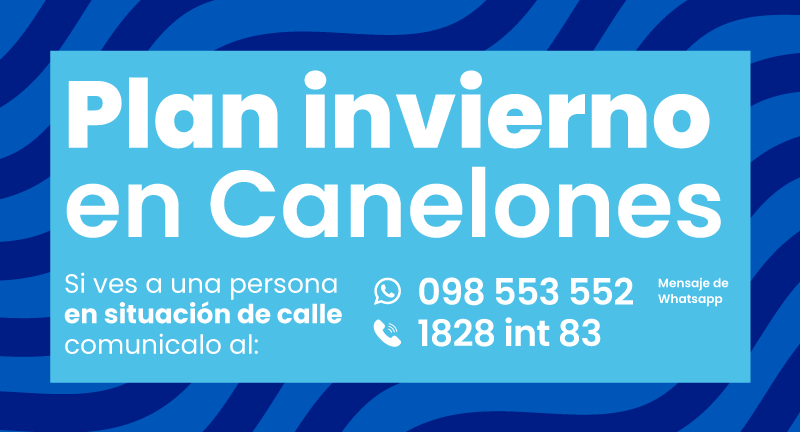 Texto descriptivo de la imagen