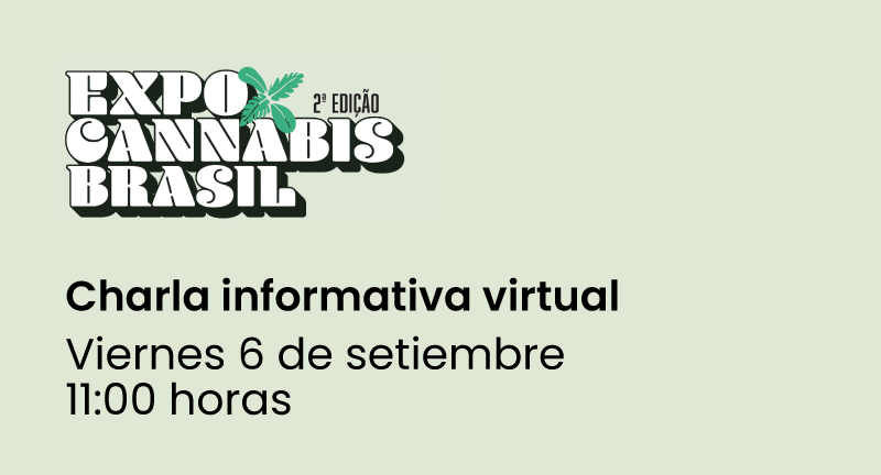 Texto descriptivo de la imagen