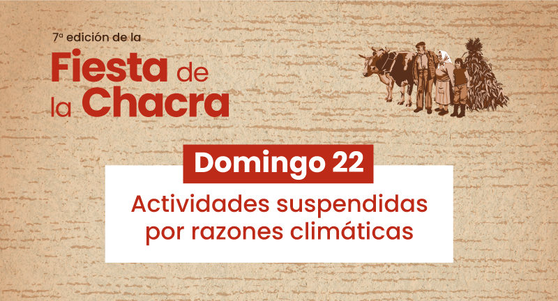 Texto descriptivo de la imagen