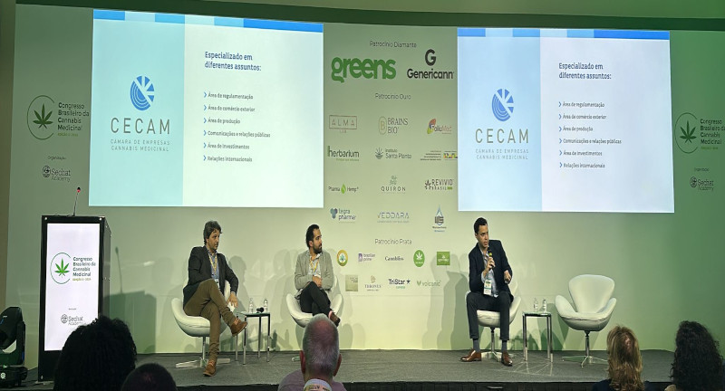 Texto descriptivo de la imagen