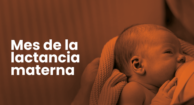 Texto descriptivo de la imagen