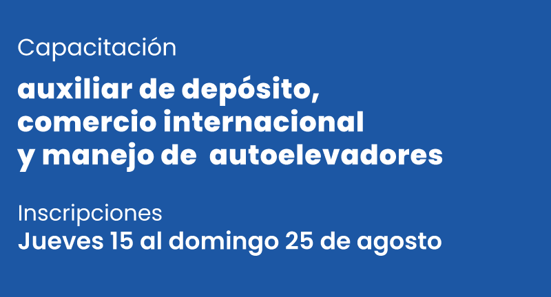 Texto descriptivo de la imagen