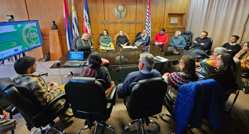 Texto descriptivo de la imagen