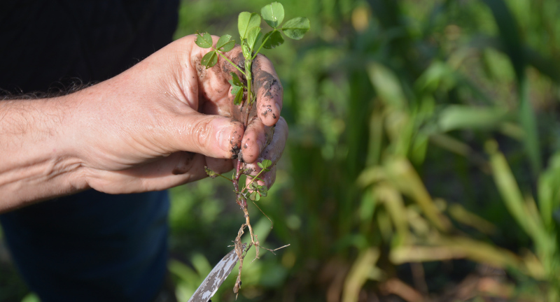 Texto descriptivo de la imagen