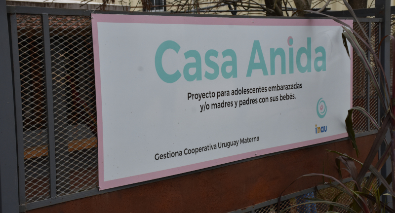 Texto descriptivo de la imagen