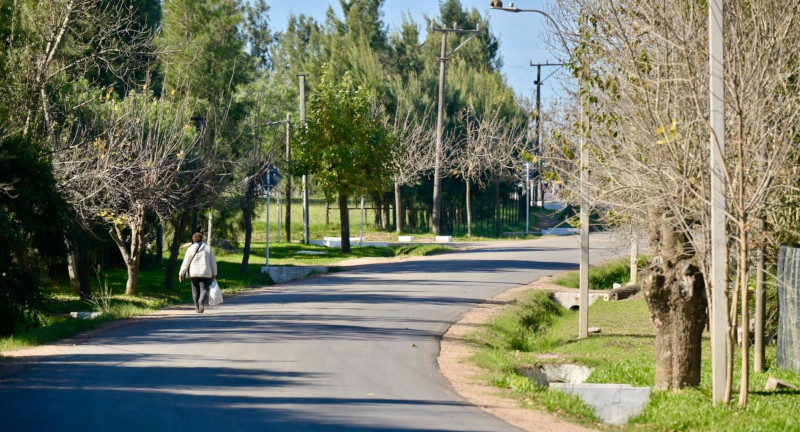 Texto descriptivo de la imagen