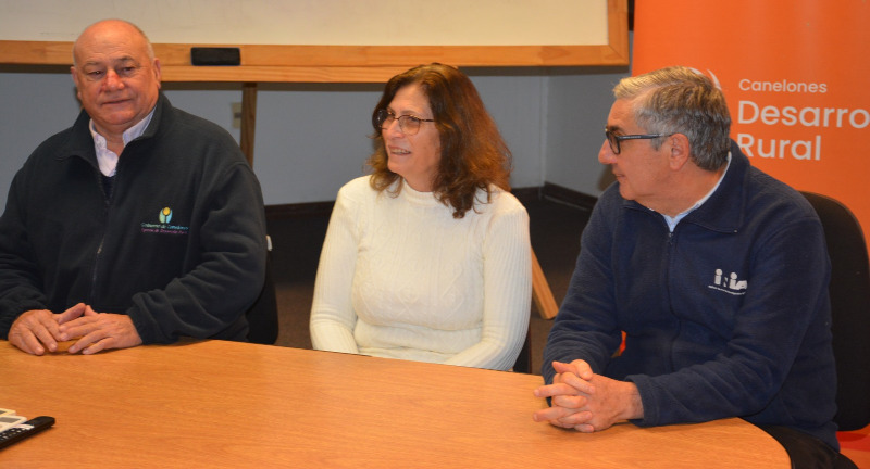 Texto descriptivo de la imagen