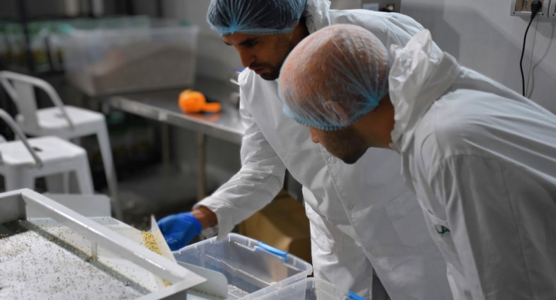 Texto descriptivo de la imagen