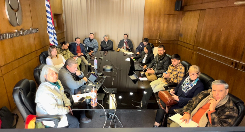 Texto descriptivo de la imagen