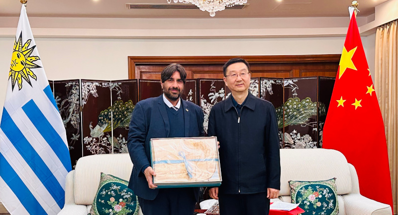 Texto descriptivo de la imagen