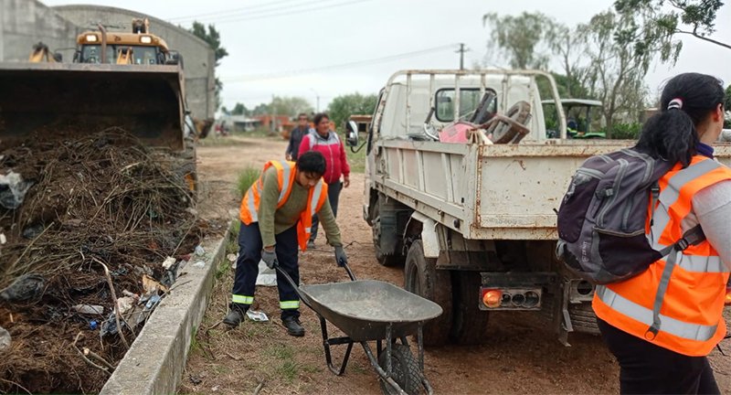 Texto descriptivo de la imagen