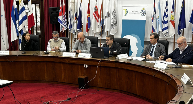 Texto descriptivo de la imagen