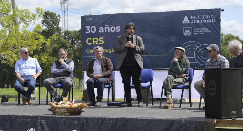 Texto descriptivo de la imagen