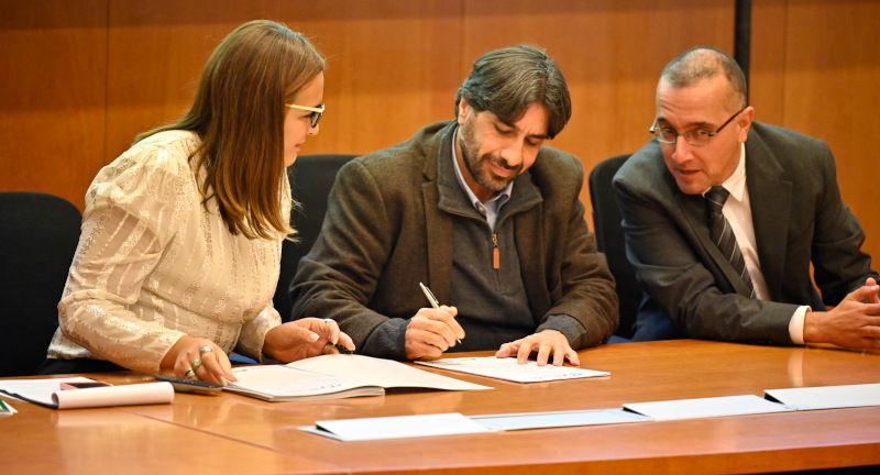 Texto descriptivo de la imagen