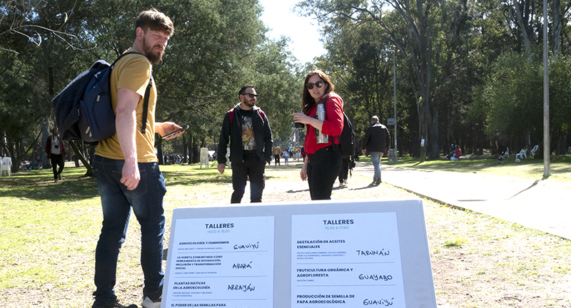 Texto descriptivo de la imagen