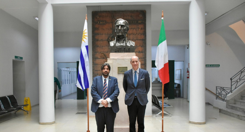 Texto descriptivo de la imagen