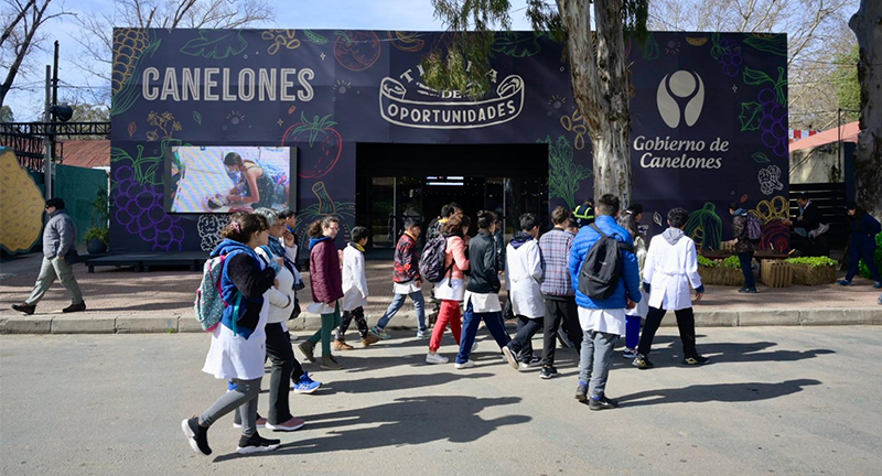 Texto descriptivo de la imagen