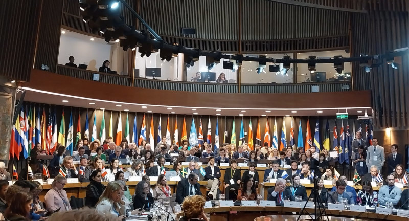 Texto descriptivo de la imagen