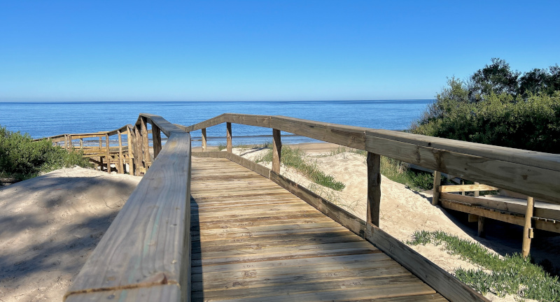 Texto descriptivo de la imagen