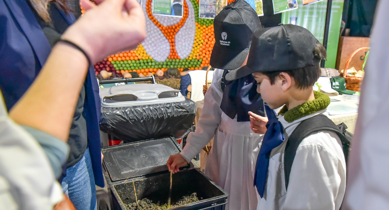 Texto descriptivo de la imagen