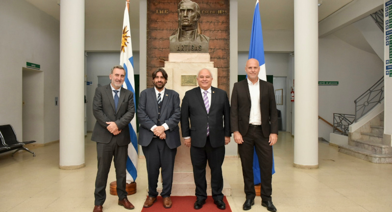 Texto descriptivo de la imagen