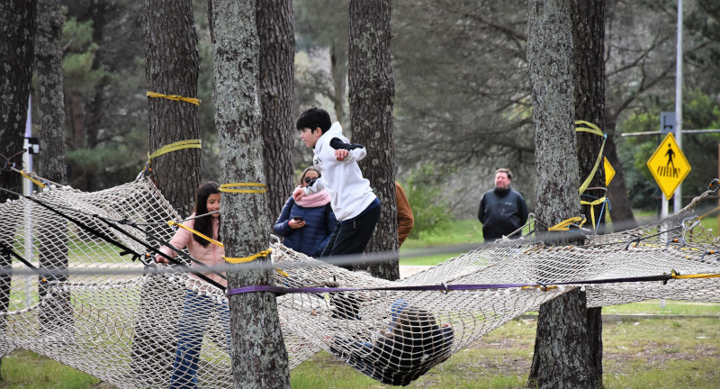 Texto descriptivo de la imagen