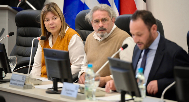 Texto descriptivo de la imagen