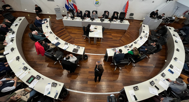 Texto descriptivo de la imagen