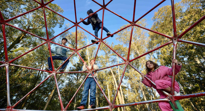 Texto descriptivo de la imagen