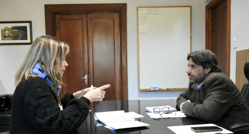 Texto descriptivo de la imagen