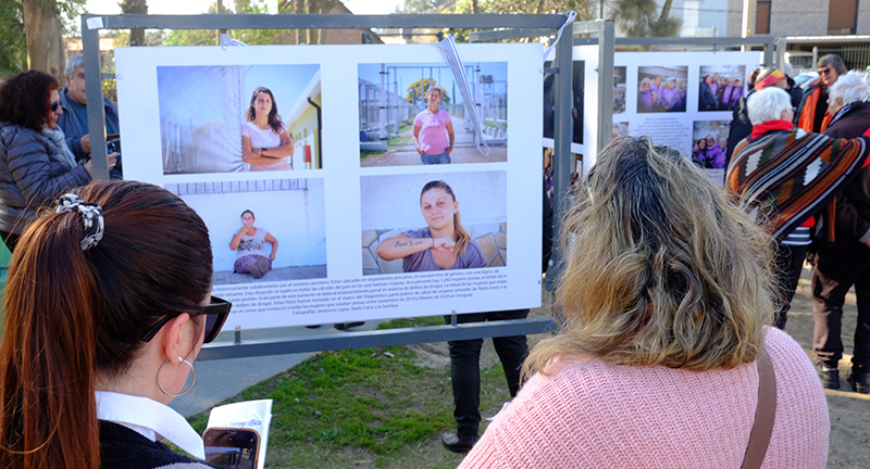 Texto descriptivo de la imagen