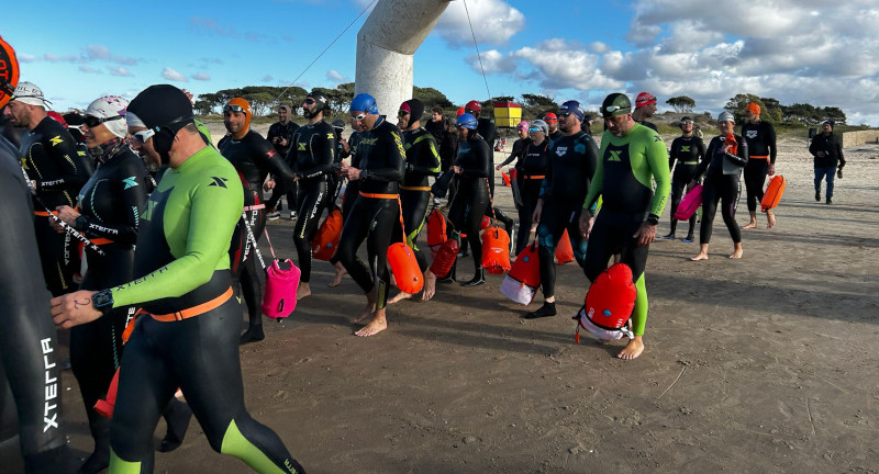 Texto descriptivo de la imagen