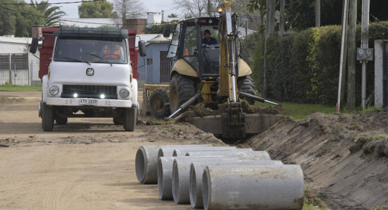 Texto descriptivo de la imagen