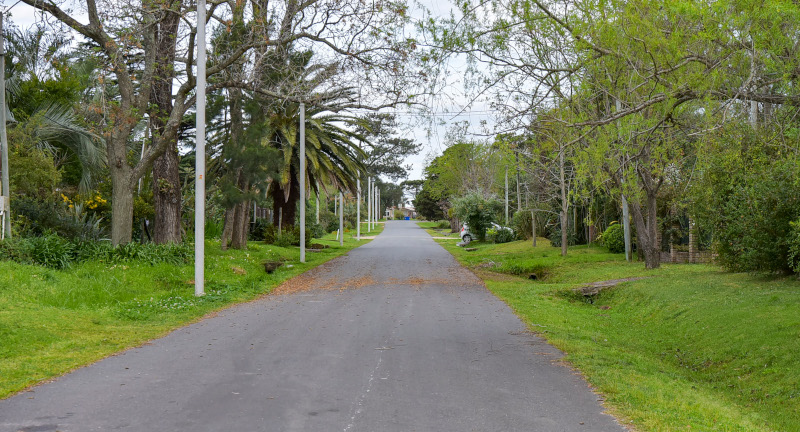 Texto descriptivo de la imagen