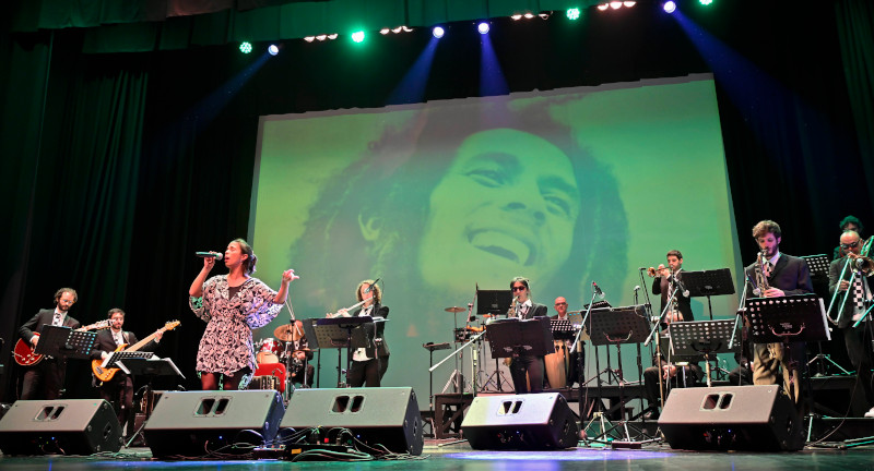 Texto descriptivo de la imagen