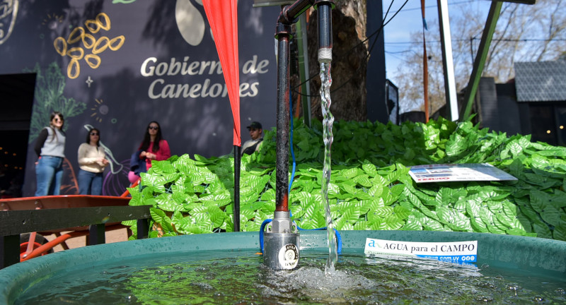 Texto descriptivo de la imagen