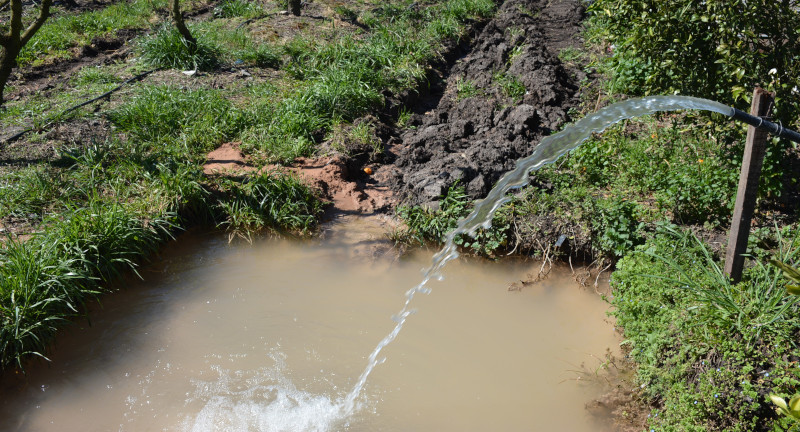 Texto descriptivo de la imagen