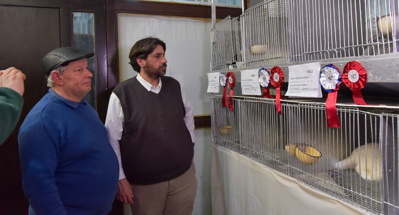 Texto descriptivo de la imagen